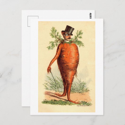 Victoriaans Man met Carrot Body Briefkaart (Voorkant / Achterkant)