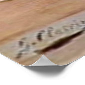 Victoriaans Masquerade Ball - Mardi Gras Poster (Hoek)