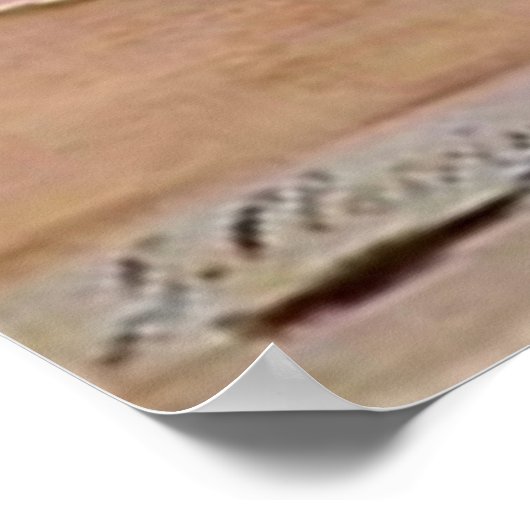 Victoriaans Masquerade Ball - Mardi Gras Poster (Hoek)