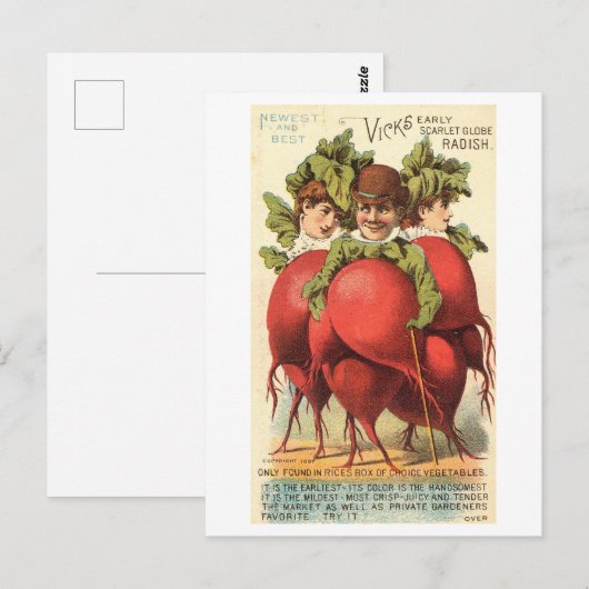  Victoriaans mensen met radijs lichamen Briefkaart (Voorkant / Achterkant)