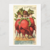  Victoriaans mensen met radijs lichamen Briefkaart (Voorkant)