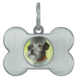 VICTORIAANS MINIATURE DOG PORTRAITS Airedale Terri Huisdieren Naamplaatje