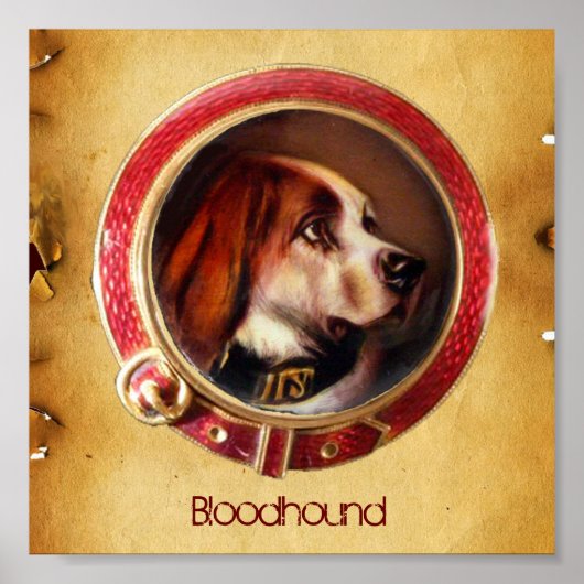 VICTORIAANS MINIATURE DOG PORTRAITS Bloodhound Poster (Voorkant)