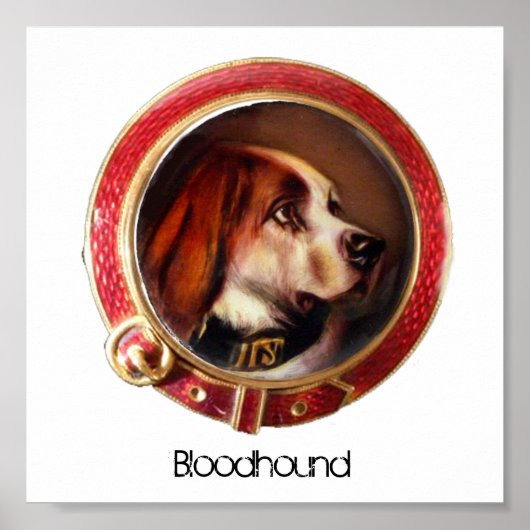 VICTORIAANS MINIATURE DOG PORTRAITS Bloodhound Poster (Voorkant)