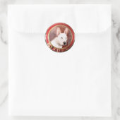 VICTORIAANS MINIATURE DOG PORTRAITS Bull Terrier Ronde Sticker (Tas)