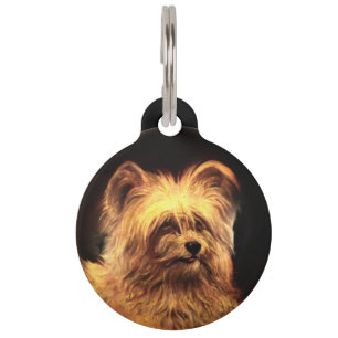 VICTORIAANS MINIATURE DOG PORTRAITS Skye Terrier Huisdierpenning