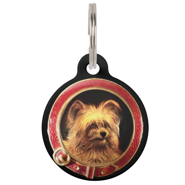 VICTORIAANS MINIATURE DOG PORTRAITS Skye Terrier Huisdierpenning (Voorkant)