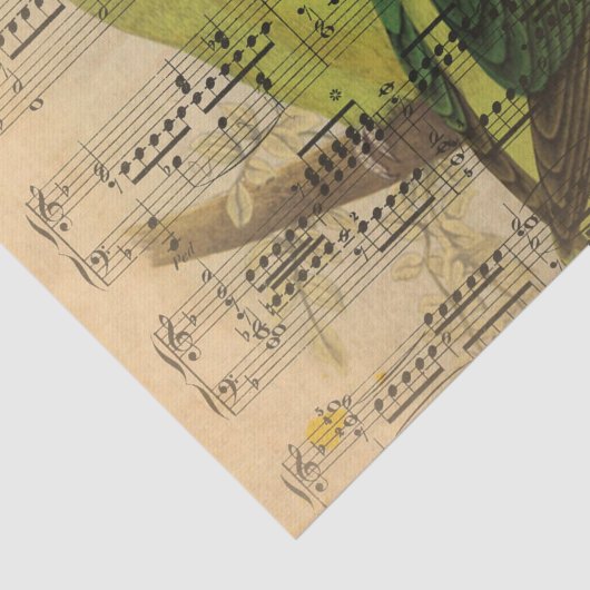 Victoriaans muziekblad Waterverf vogelbehangpapier Tissuepapier (Detail)