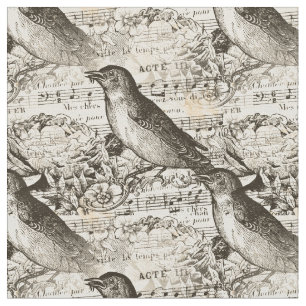 Victoriaans muziekvogels stof