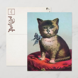 Victoriaans Odd Cat Briefkaart