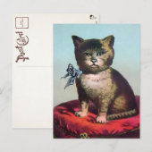 Victoriaans Odd Cat Briefkaart (Voorkant / Achterkant)
