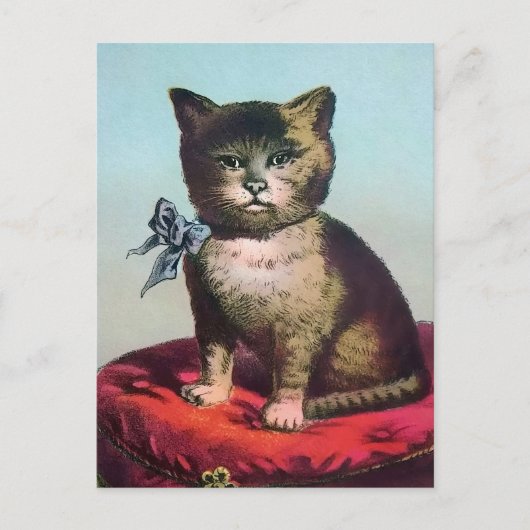 Victoriaans Odd Cat Briefkaart (Voorkant)