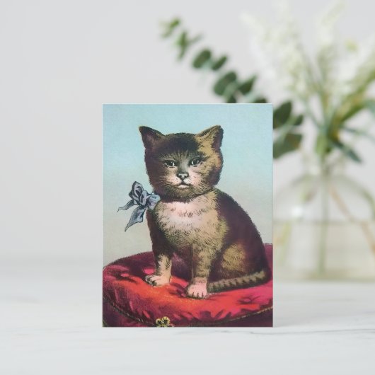 Victoriaans Odd Cat Briefkaart (Staand voorkant)