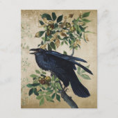 Victoriaans ontbinding van Raven - Gothic Realm Informatiekaartje (Voorkant)