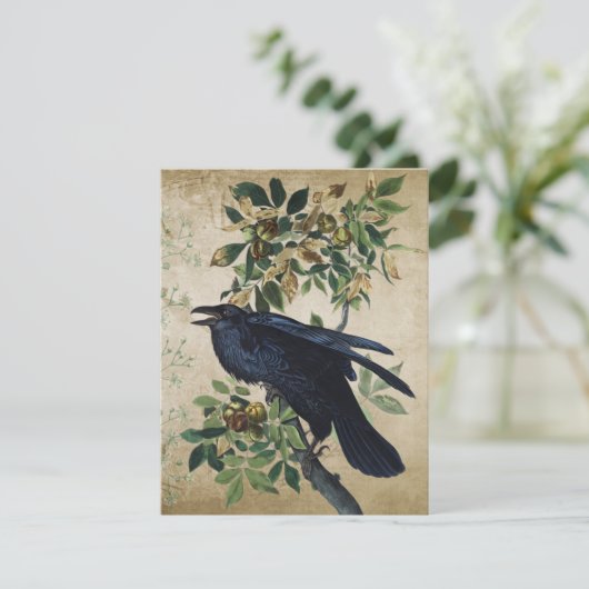  Victoriaans ontbinding van Raven - Gothic Realm Informatiekaartje (Staand voorkant)