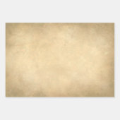  Victoriaans ontbinding van Raven - Gothic Realm Inpakpapier Vel (Voorkant 3)