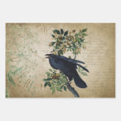  Victoriaans ontbinding van Raven - Gothic Realm Inpakpapier Vel (Voorkant)
