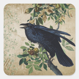 Victoriaans ontbinding van Raven - Gothic Realm Vierkante Sticker