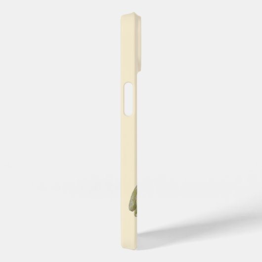 Victoriaans paashaas, bloemen en eitjes Case-Mate iPhone Case (Achterkant / Rechts)