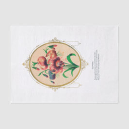 Victoriaans papier voor dammweefsel