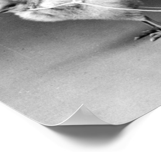 Victoriaans Pasen Poster (Hoek)