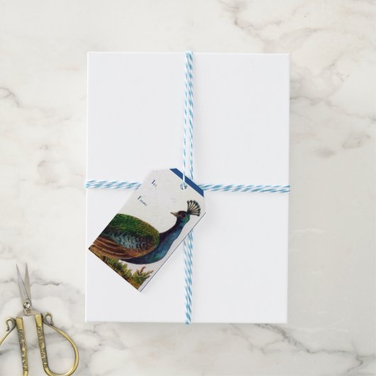 Victoriaans Peacock Cadeaulabel (Met Touw)