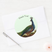  Victoriaans Peacock dank u Ronde Sticker (Envelop)