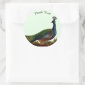  Victoriaans Peacock dank u Ronde Sticker (Tas)