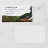 Victoriaans Peacock Visitekaartjes Sjabloon (Voorkant / Achterkant)