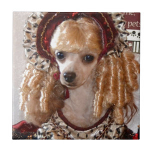 Victoriaans poedel liefde hond pose tegeltje