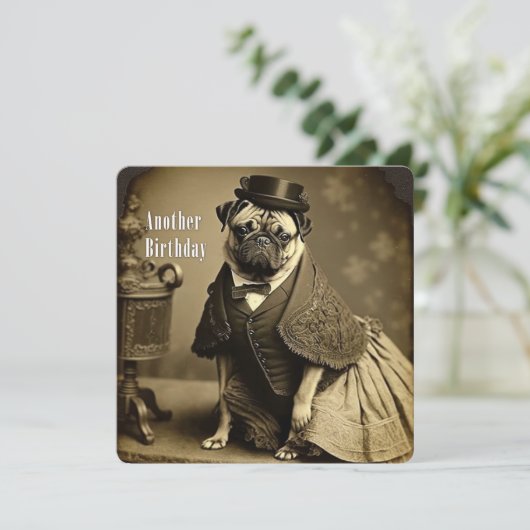Victoriaans Pug Birthday Kaart (Staand voorkant)