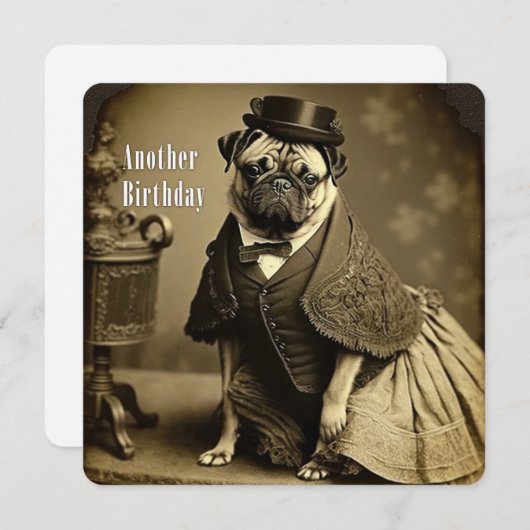 Victoriaans Pug Birthday Kaart (Voorkant / Achterkant)