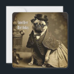 Victoriaans Pug Birthday Kaart - Funny afbeelding<br><div class="desc">Victoriaans Kaart van Pug Birthday - Funny afbeelding van Pug-hond gekleed in Victoriaans kleding op  foto</div>
