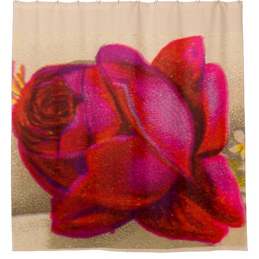 Victoriaans rode roos douchegordijn (Voorkant)