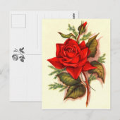 Victoriaans rode rozen Bouquet Briefkaart (Voorkant / Achterkant)