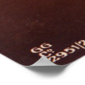 Victoriaans Romantisch meisje met witte stallion H Poster (Hoek)