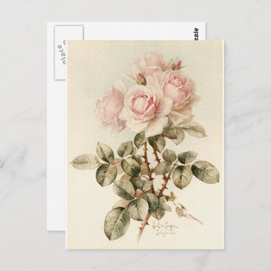  Victoriaans Romantische Rozen Briefkaart (Voorkant / Achterkant)