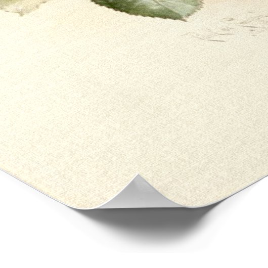 Victoriaans Romantische Rozen Poster (Hoek)