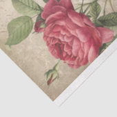 Victoriaans Roos en tekst Ephemera-ontkoppeling Tissuepapier (Detail)