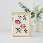 Victoriaans roze en gele rozen II Briefkaart (Staand voorkant)