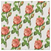 Victoriaans Roze, Engels Roos Stof (Close Up)