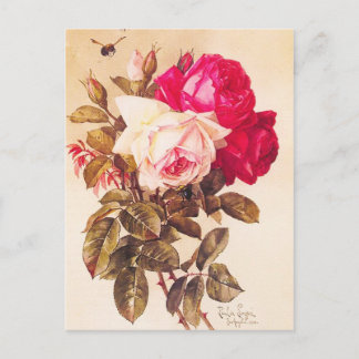 Victoriaans roze rode roze rozen Briefkaart