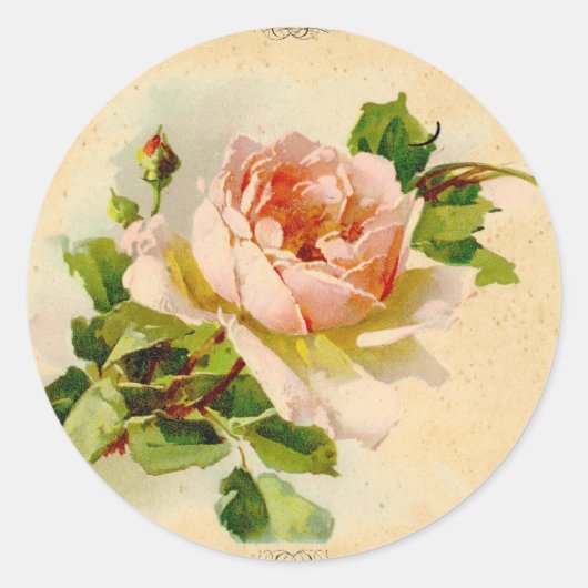 Victoriaans Roze Roos Ronde Sticker (Voorkant)