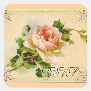Victoriaans Roze Rose Vierkante Sticker