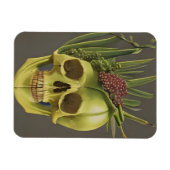 Victoriaans schedel, afwerking en druiven magneet (Horizontaal)