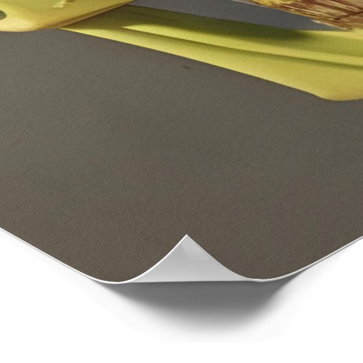 Victoriaans schedel, afwerking en druiven poster (Hoek)