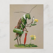  Victoriaans sprinkhaanBriefkaart Briefkaart (Voorkant)
