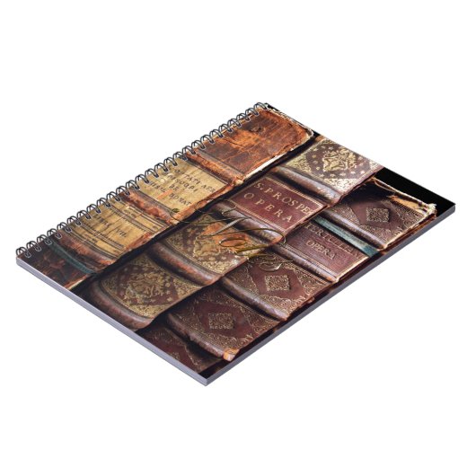 Victoriaans Steampunk Oude Boeken Notitieboek (Linkerzijde)