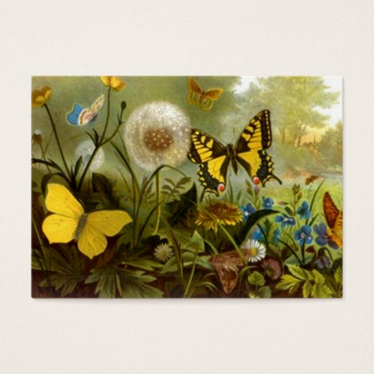 Victoriaans stijl cadeau Labels ~ Vlinders Vlinder Visitekaartje (Voorkant)