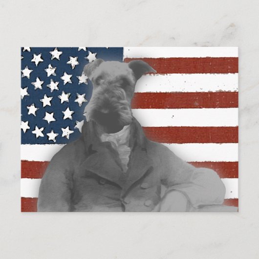 Victoriaans stijlartikelen briefkaart (Voorkant)